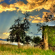 thumb-landrush-homestead-sunrise-palouse-by-the-knowles-gallery